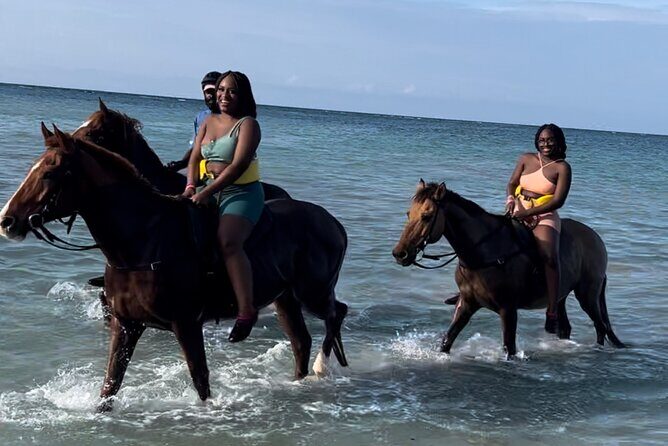 Montego Bay Clear Kayak Photoshoot and Horseback Riding Combo - My Honest Take: Who Will Love It?