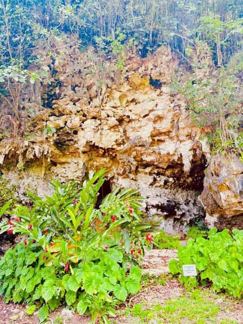 Montego Bay: Cockpit Caves Experience - Hands-On Fun for Kids and Families