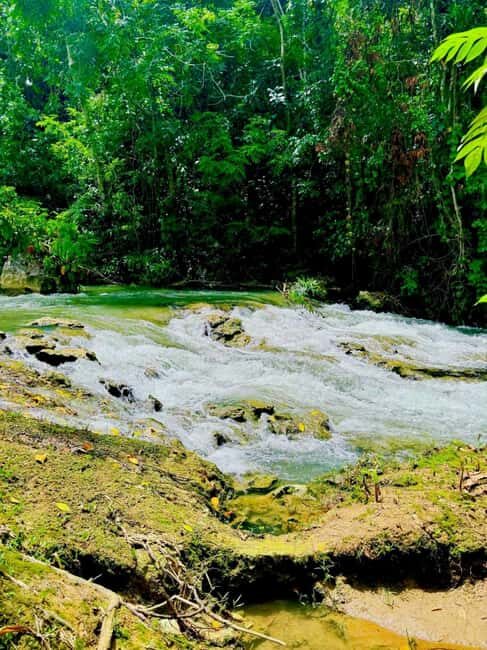 Montego Bay: Cockpit Caves Experience - Cooling Off in a Natural River