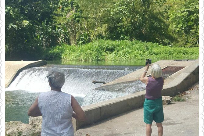 Montego bay Delights Highlight Tour - Itinerary Breakdown