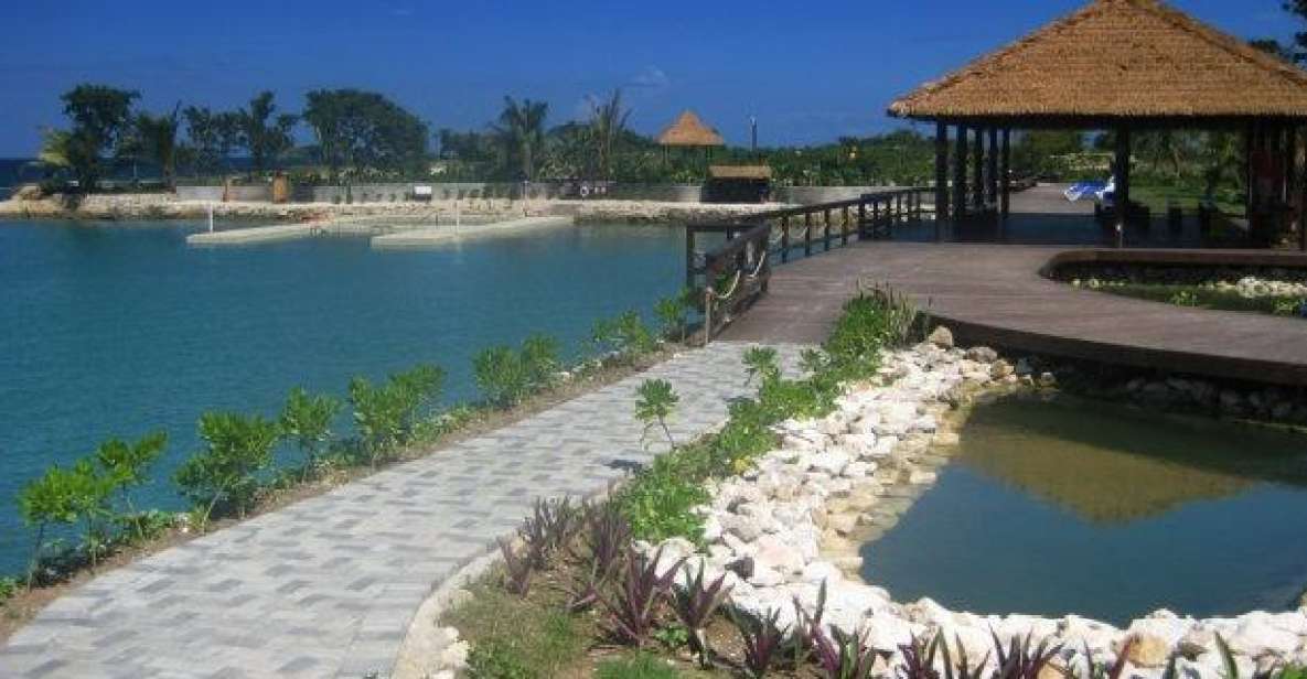 Montego Bay: Dolphin Cove Tickets - Included in Park Admission