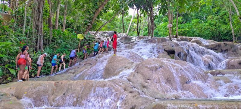 Montego Bay: Dunn's River Falls & Blue Hole Combo - Exploring the Dunn’s River Falls & Blue Hole Combo in Jamaica