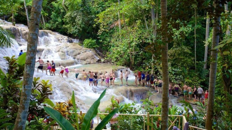 Montego Bay: Dunn's River Falls & Horseback Riding Adventure - Key Points