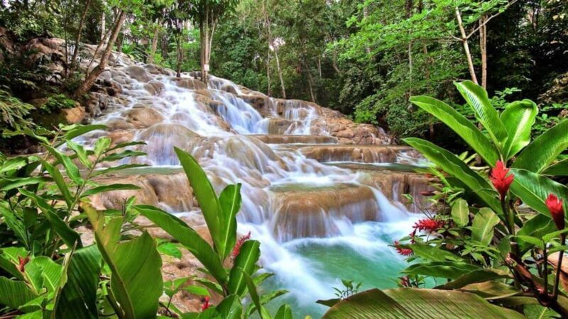 Montego Bay: Dunn's River Falls & Horseback Riding Adventure - The Sum Up