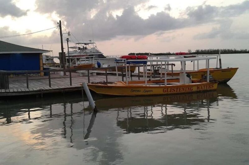 Montego Bay: Dunn's River Falls & Luminous Lagoon Tour - Key Points