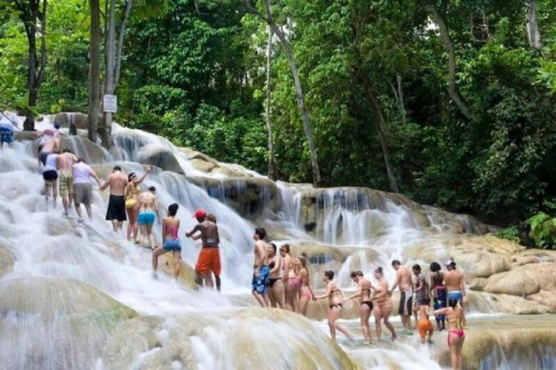 Montego Bay: Dunn's River Falls & Luminous Lagoon Tour - Value and Who It’s Best For