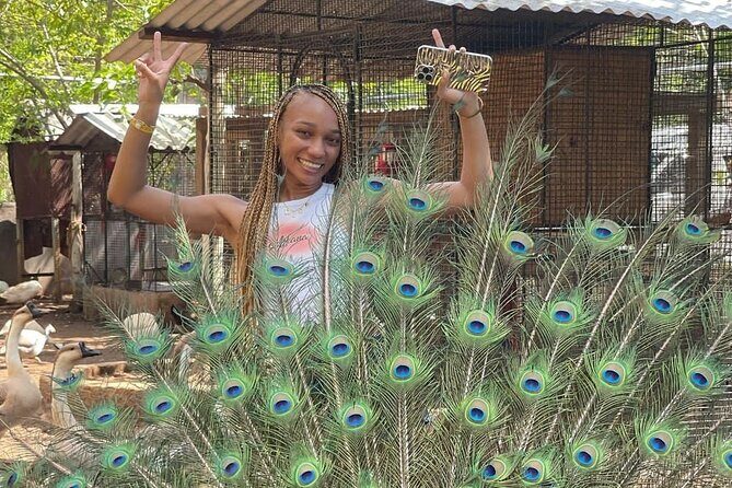 Montego Bay Exotic Herbs, Birds and Animals Interaction Tour - Transport and Practical Details