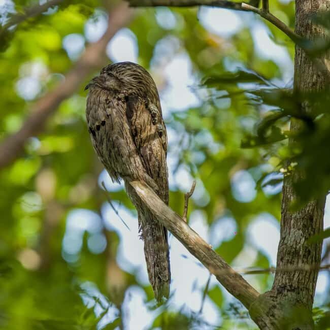 Montego Bay/Falmouth: Rockland Bird Sanctuary Private Tour - Who Should Consider This Tour?