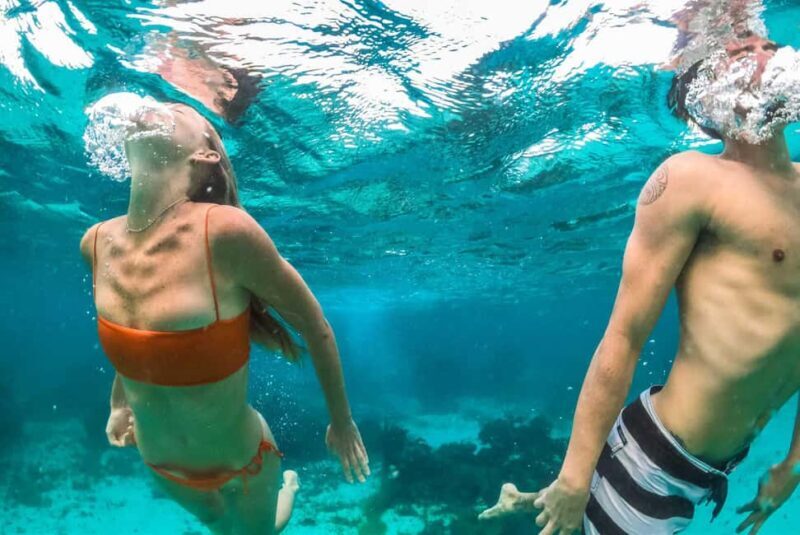 Montego Bay: Full-Day Speedboat Trip to Negril - Authentic Experiences and What Travelers Say