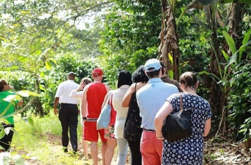 Montego bay Highlight Tour - The Sum Up: Who Will Love This Experience?