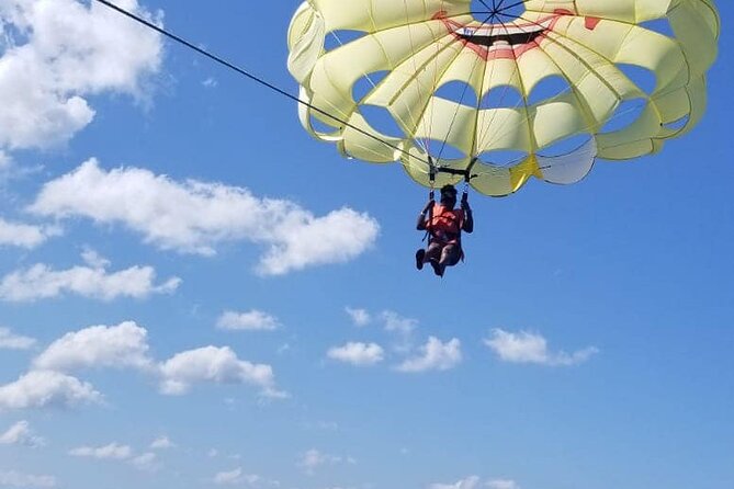 Montego Bay Highlight Tour - Ratings and Reviews