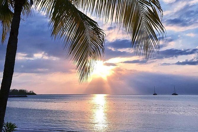 Montego Bay Highlights Private Full Day Tour from Falmouth - The Sum Up