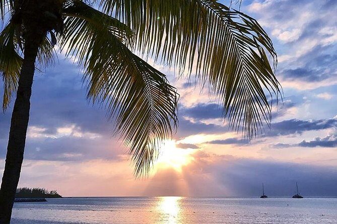 Montego Bay Highlights Tour from Montego Bay - What Travelers Say