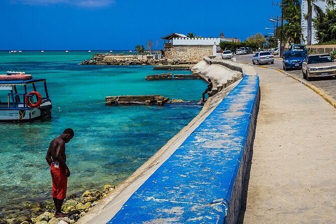 Montego Bay Local Experience & Beach from Cruise Ships - The Quality of the Experience: Guides, Comfort, and Flexibility