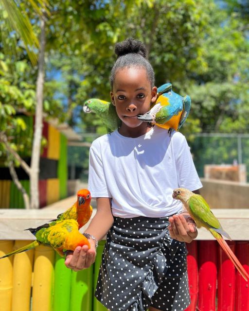 Montego Bay: Marijuana Farm and Bird Sanctuary Tour - Key Points