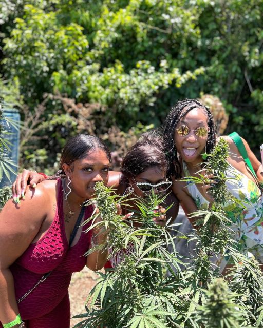 Montego Bay: Marijuana Farm and Bird Sanctuary Tour - Marijuana Farm Experience