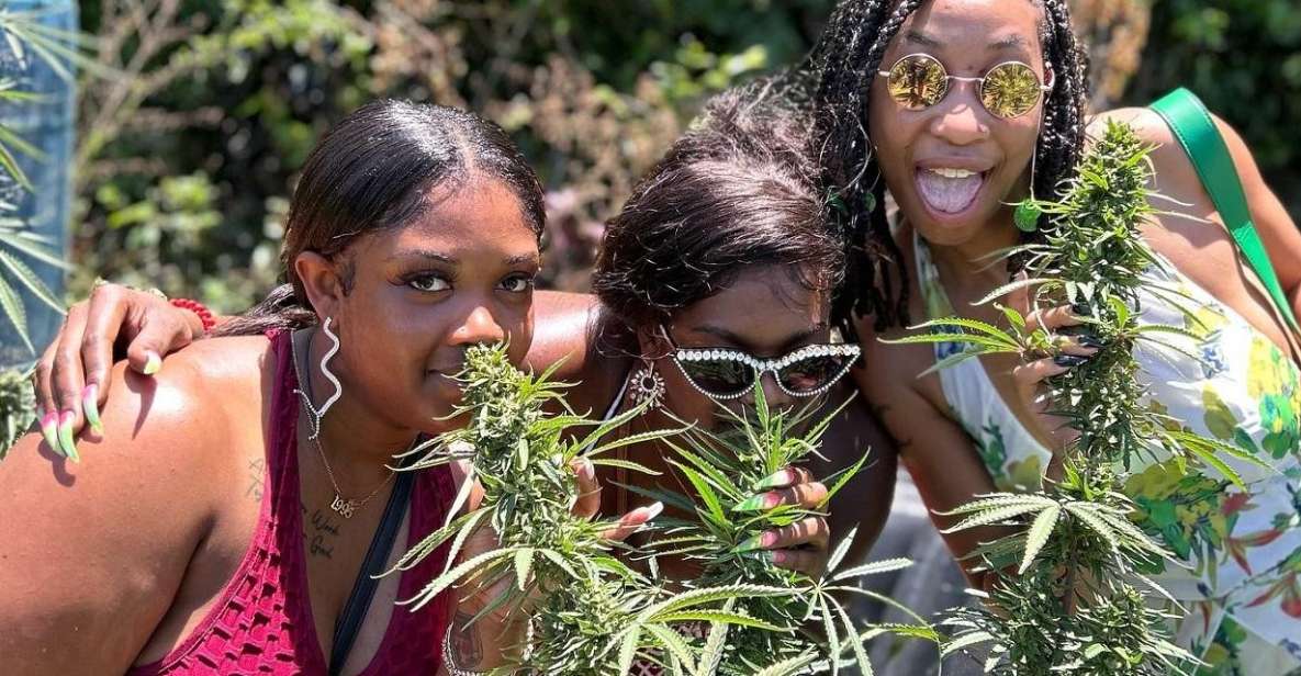 Montego Bay: Marijuana Farm and Bird Sanctuary Tour - Visiting the Weed Farm