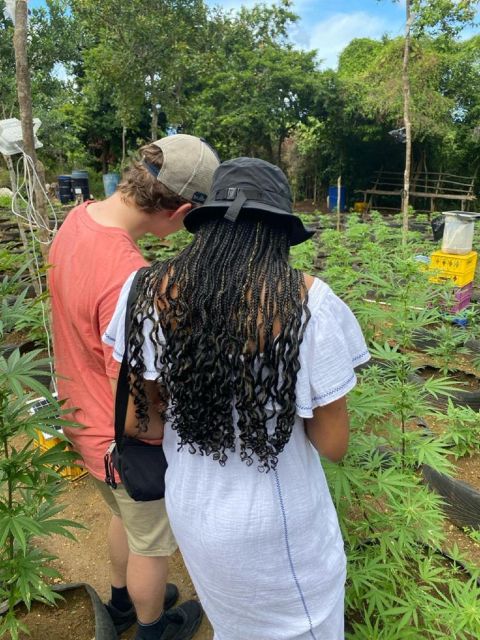 Montego Bay: Marijuana Farm and Bird Sanctuary Tour - Smoking a Weed Chalice
