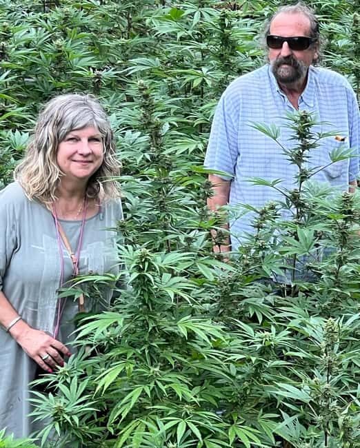 Montego Bay: Marijuana Farm Private Tour with Transportation - Key Points