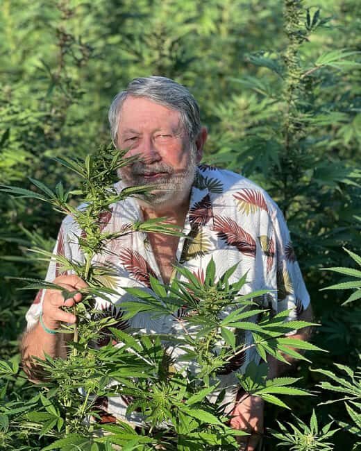 Montego Bay Marijuana Farm Tour - Why This Tour Offers Real Value