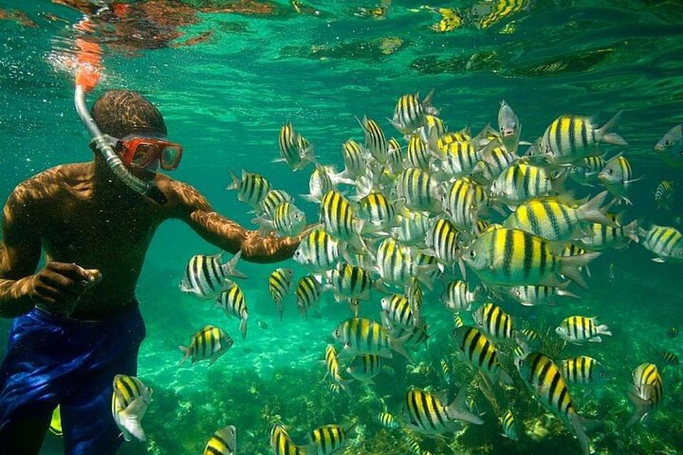 Montego Bay: Negril Seven Miles Beach & Booby Cay Boat Tour - Tour Inclusions