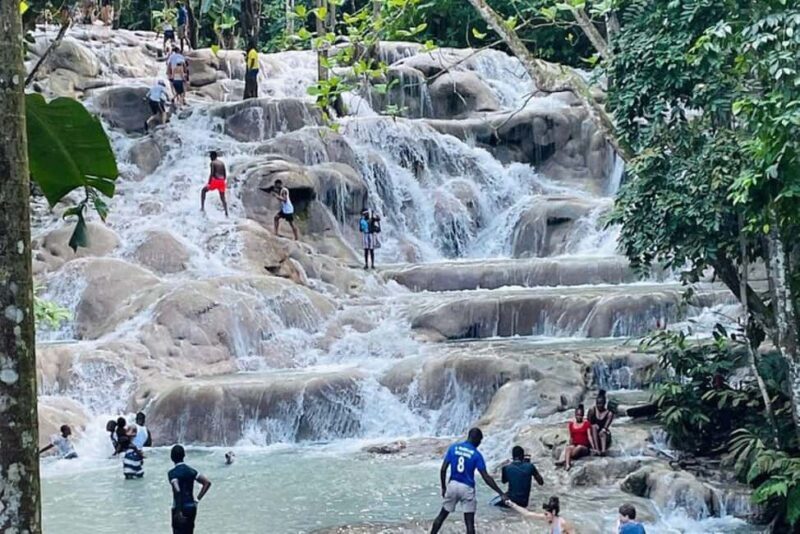 Montego Bay: Private Dunn's River Falls and Blue Hole Tour - An In-Depth Look at the Tour Experience