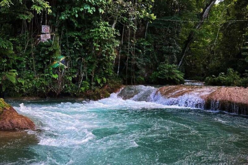 Montego Bay: Private Dunn's River Falls and Blue Hole Tour - Real Experiences and Honest Feedback