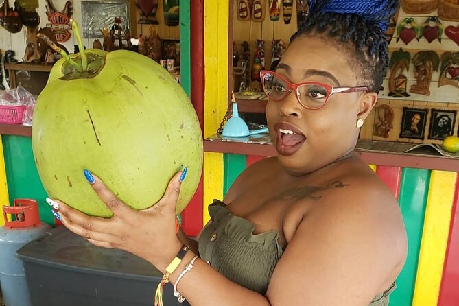 Montego Bay Private Highlights Tour With Pickup - Highlights of the Tour