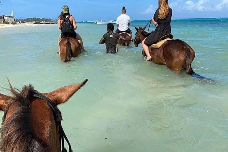 Montego Bay: Private Horseback Ride & Blue Hole Tour - An In-Depth Look at the Experience