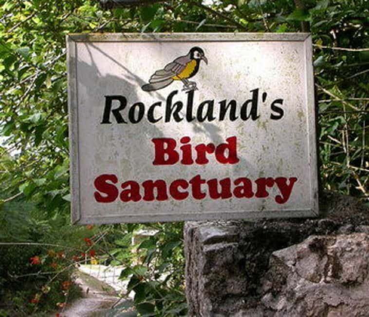 Montego Bay: Private Rocklands Bird Sanctuary Trip - Final Thoughts