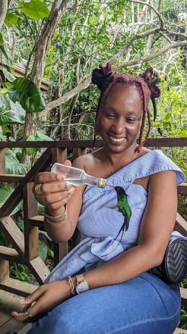 Montego Bay: Private Rocklands Bird Sanctuary Trip - FAQ