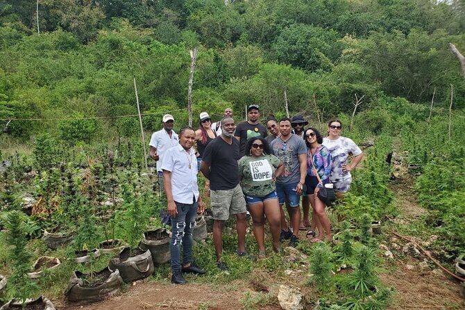 Montego Bay Private Transfer - Final Thoughts