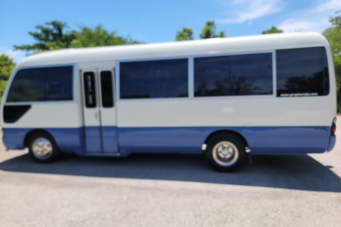 Montego Bay Resorts Airport Transportation-Arrival &/or Departure - Accessibility