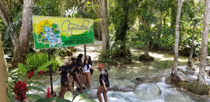 Montego Bay: River Rafting and Dunn's River Falls Day Trip - An Authentic Jamaican Experience: A Closer Look