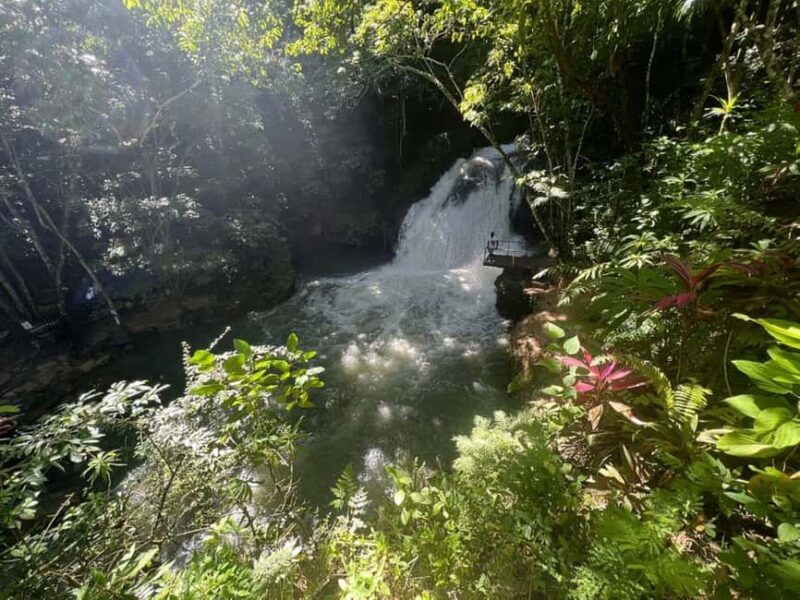 Montego Bay: Secret Falls And River Rapids Adventure - Practical Details & Logistics