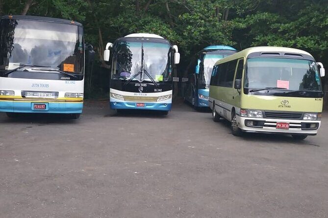 Montego Bay Shared Shuttle from Montego Bay Airport: One Way or Round Trip - Who Will Benefit Most?