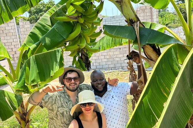 Montego Bay Sightseeing, Shopping and Bamboo Rafting - The Travel Experience: What You Can Expect