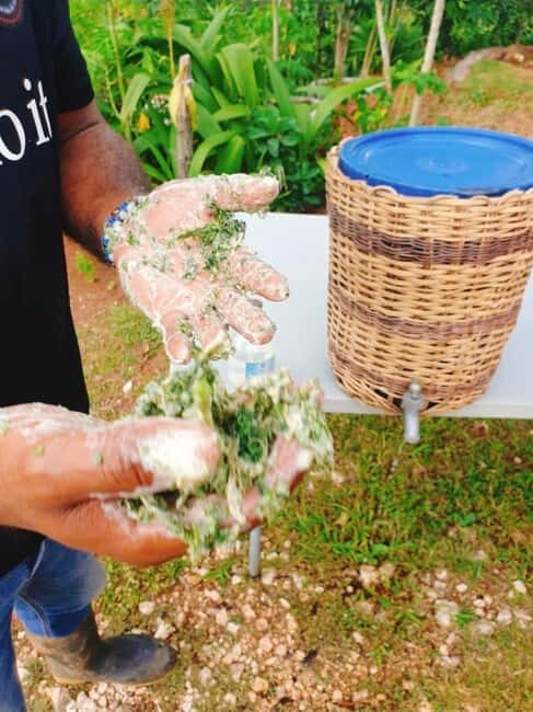 Montego Bay: The Great Kids Quest to the South Coast - Who Will Love This Tour?