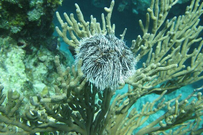 Montego Bay to Catamaran Cruise, Negril Beach and Rick's Café - An In-Depth Look at the Tour