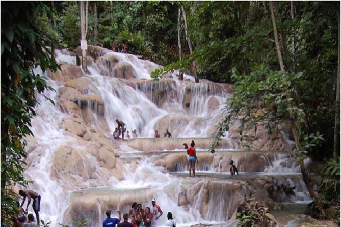 Montego Bay to Dunn's River Falls Half-Day Trip - Key Points