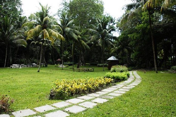 Montego Bay to Dunn's River Falls Half-Day Trip - FAQ