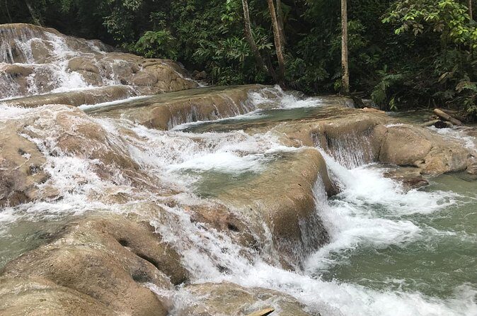 Montego Bay To Dunn's River Transport - An In-Depth Look at the Dunn’s River Falls Tour