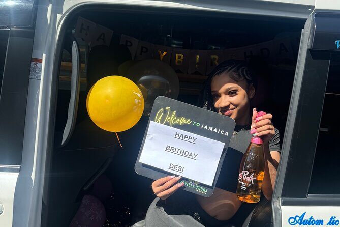 Montego Bay to Ocho Rios Hotels Private Transfer - Who Should Book This Transfer?