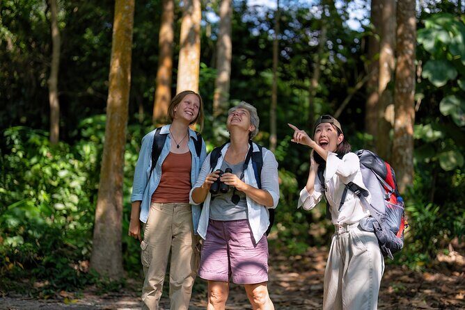 Montego Bay Tour to Blue Hole & Dunns River Falls - Introduction: Why This Tour Stands Out  