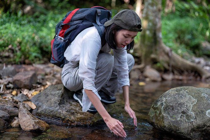 Montego Bay Tour to Blue Hole & Dunns River Falls - Authentic Insights from Reviews  