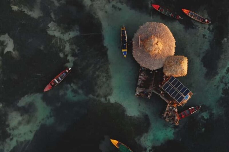 Montego Bay: YS Falls and Appleton Rum Private Tour by Van - Who Will Love This Tour?