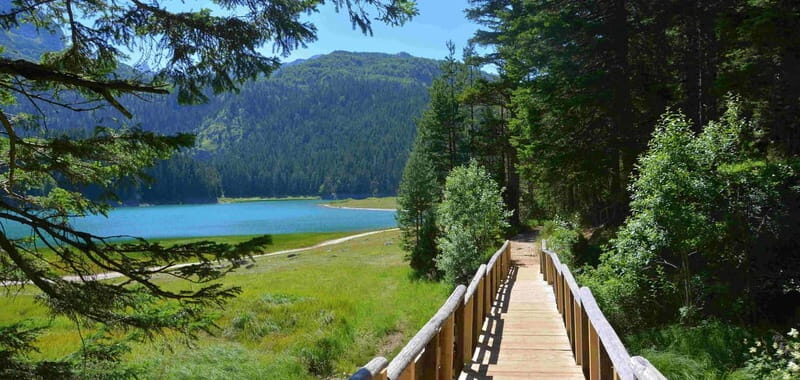 Montenegro Canyons day trip from Herceg Novi - Key Points
