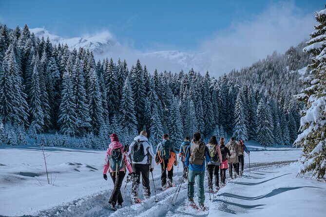 Montenegro Snowshoeing Durmitor - Key Points