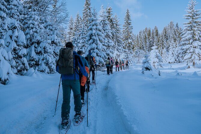 Montenegro Snowshoeing Durmitor - Final Thoughts: Who Will Love This Snowshoeing Tour?