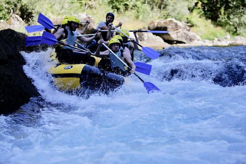 Montenegro: Tara River Whitewater Rafting - Practical Tips for Your Trip